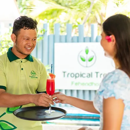 Tropical Tree-2