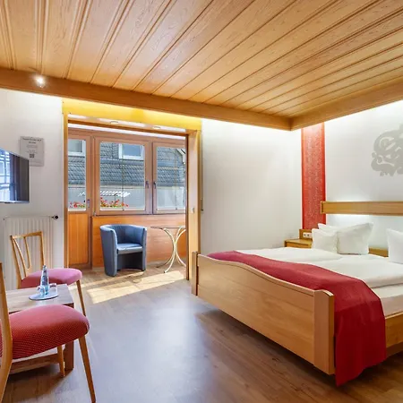 Hotel Sauerlaender Hof-2