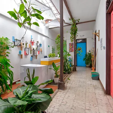 Casa Blanca San Antonio Hostal Boutique-2