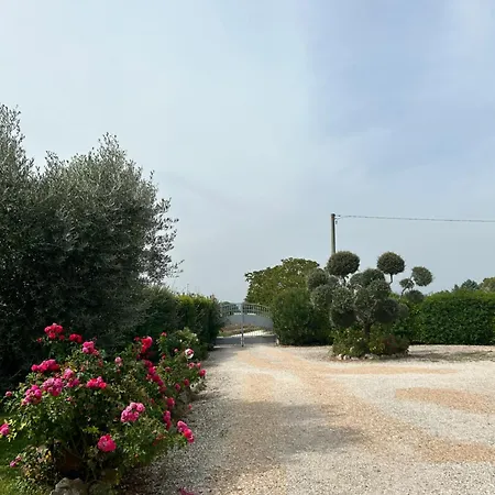 La Perla di Assisi-2