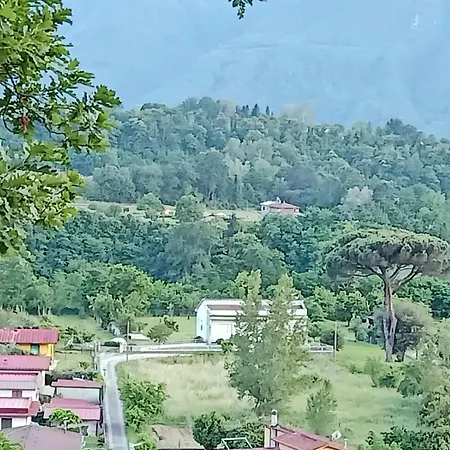 Affittacamere La Foresta di Sopra-3