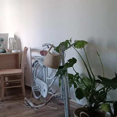 Green Suite Palermo-3