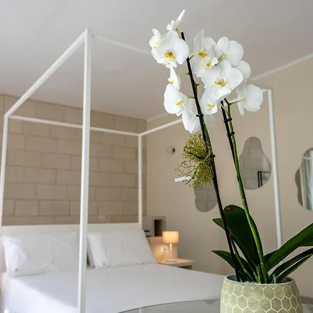 Oronti Accommodations-3