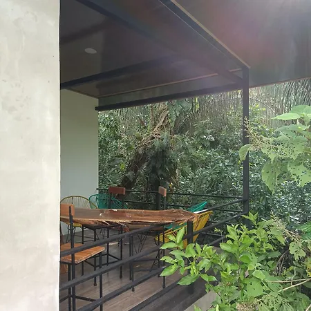 Selva Linda Lodge Jungle Wildlife Vue And Birdwatching-2