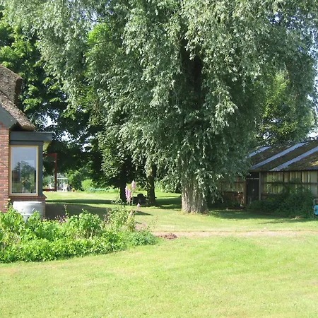 The Old Barn-3
