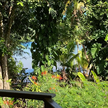 Pension Tupuna-3
