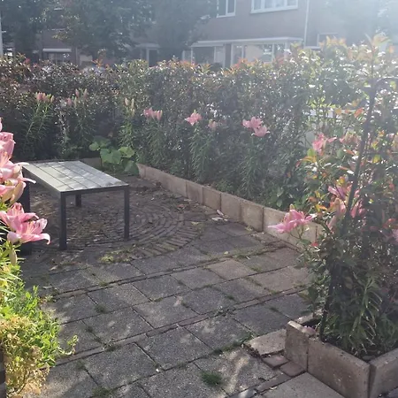 Guesthouse Zandvoort-2