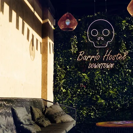 Barrio Downtown Mexico City Hostel-2