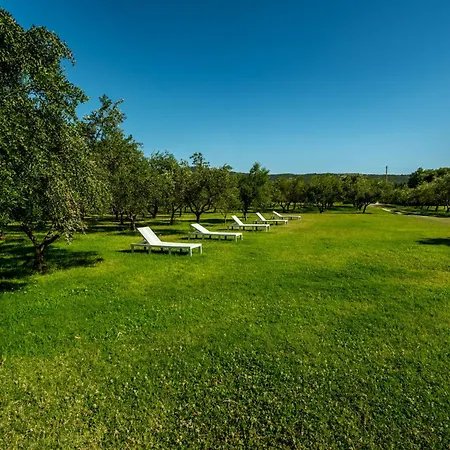 Hotel Borgo Albador-2