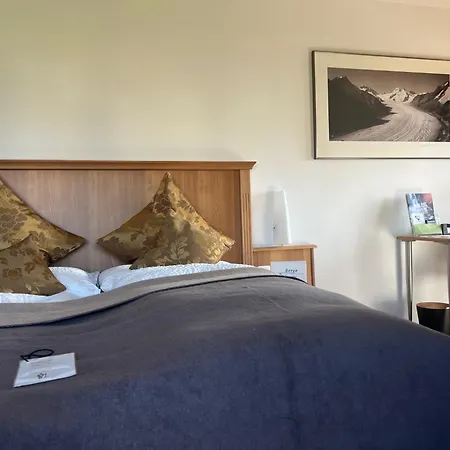 Hotel Alpina-2