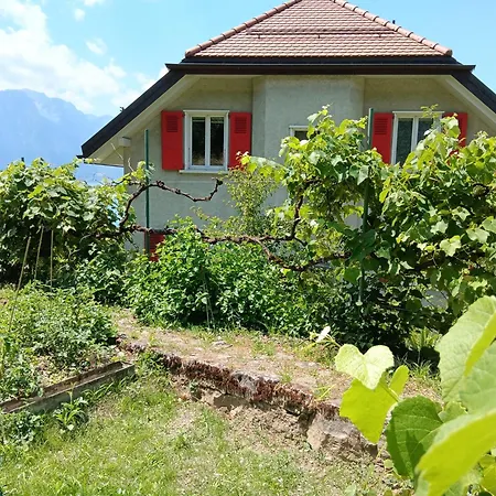 La plus belle vue du lac Léman-3