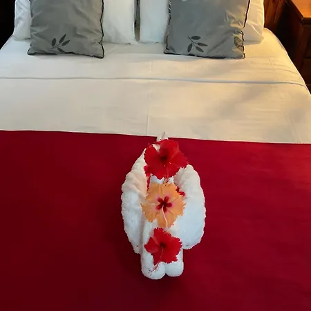 Le Chevalier Bay Guesthouse-3