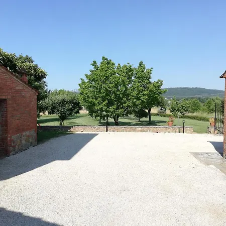 Il papavero verde-3
