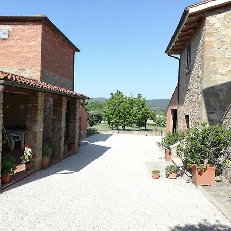 Il papavero verde-2