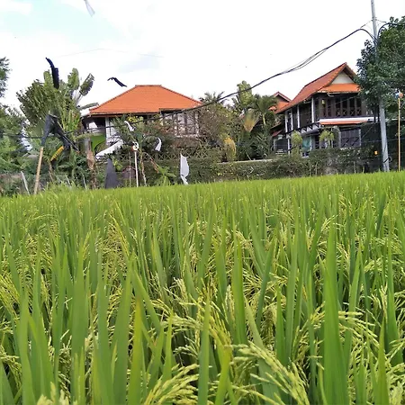 Umah Watu Villas-3