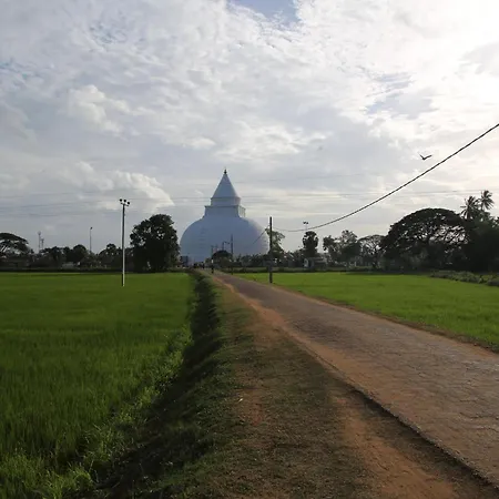The Yala City Guest House-2