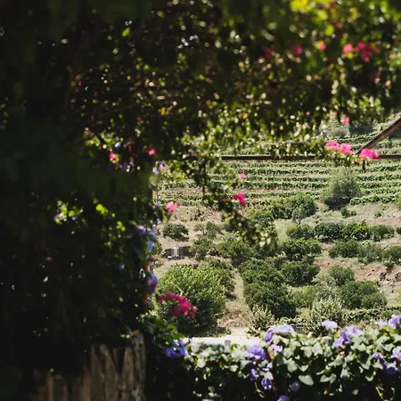 Quinta Da Travessa - Douro-3