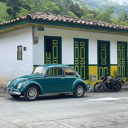 Bosque De Niebla-3