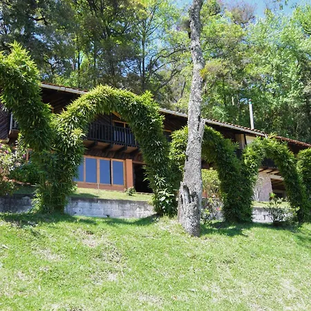 Campestre Daarlu-3