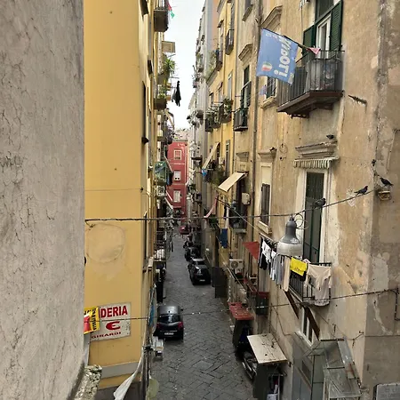 Toledo Relax-3