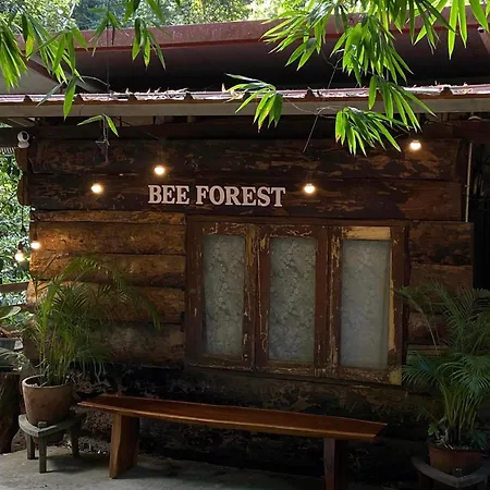 Bee Forest-3
