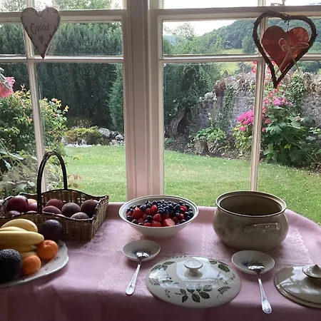 Bryn Guest House-2