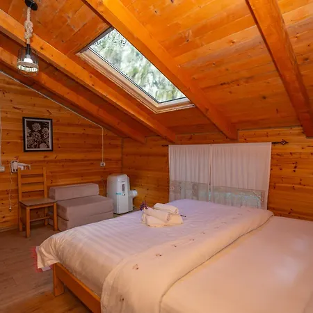 Bee Eco Guest House-3