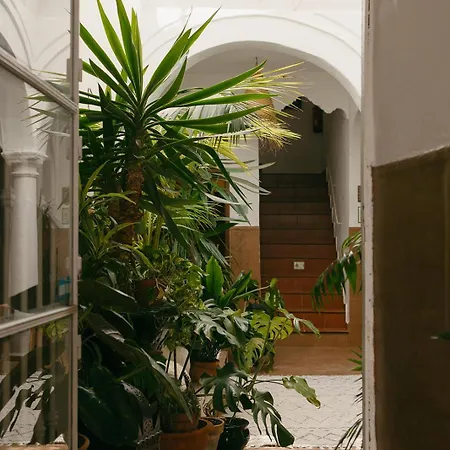 Hostal Africa-3