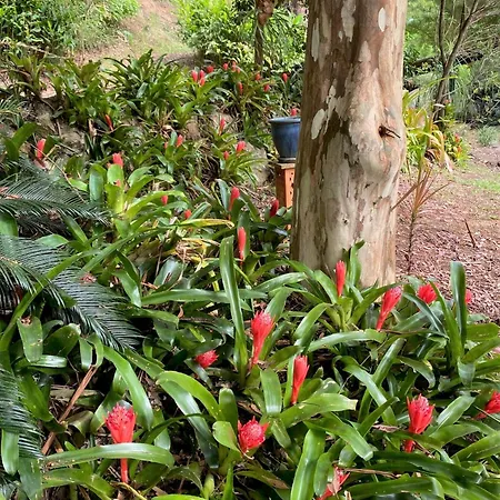 Palmwoods Eco Escape-2