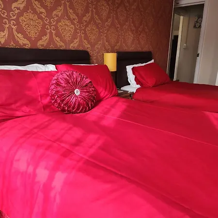 Oyo Twins Palms Guest House-2