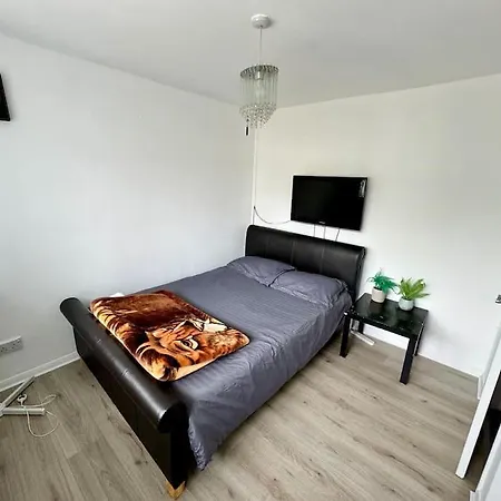 Cozy Home-3