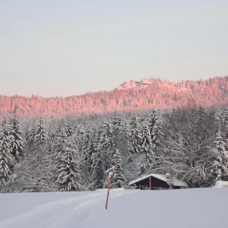 Landgasthof Brandtner Wirt-3