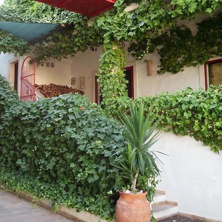 Casa Do Rio / Tavira Inn - Adults Only-3