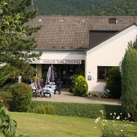 Hotel Haus Salzberg garni-2