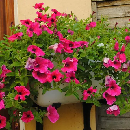 Abbey Lodge-3