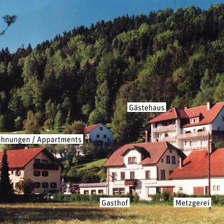 Gasthof Hotel Schwarzes Ross-3
