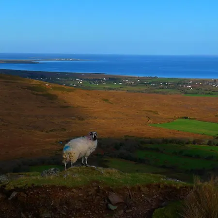 Keanes Of Curraheen, Bar, Restaurant & Accommodation-2