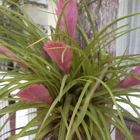 St. Lucia Wetlands Guest House-3