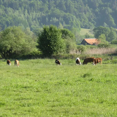 Gasthof Laggner-3