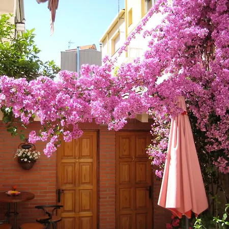Pension Casa Austria-2