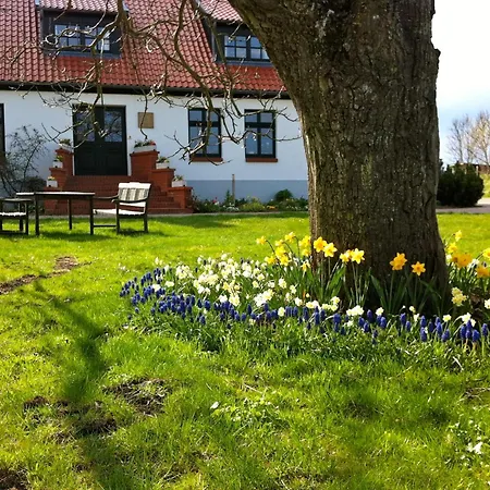 Gutshaus Ketelshagen-3