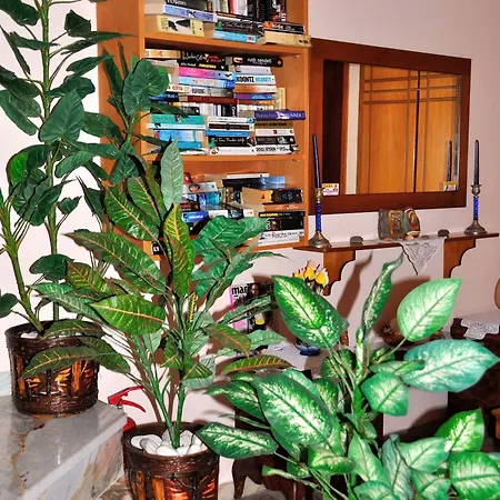 Ilias Studios - Rooms-2
