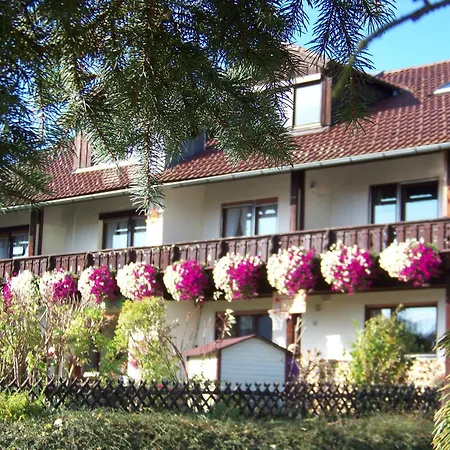 Pension Erna-3