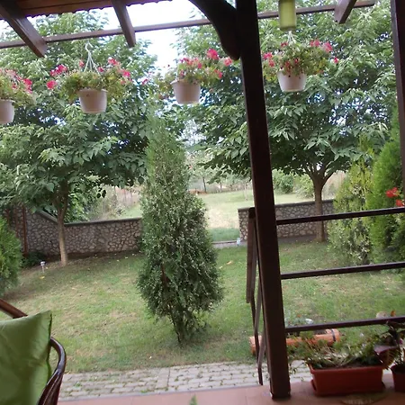 Pensiunea Larisa-2