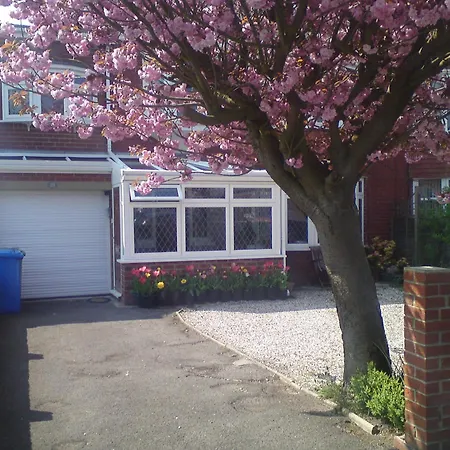 Cherry Blossom Guest House-3