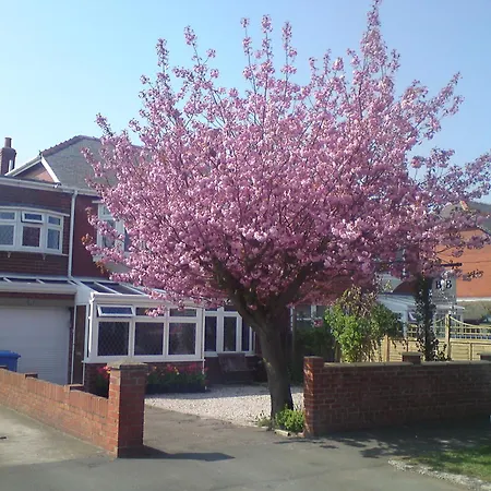 Cherry Blossom Guest House-2
