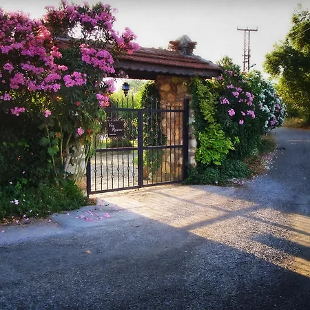 Villa Rhapsody Pension-2