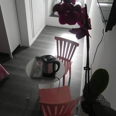 Vica Pota-2