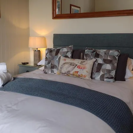 Plas Tan Y Graig B&B Guest House Beddgelert-3