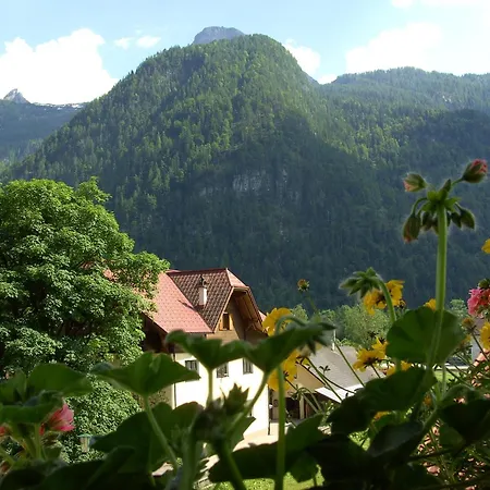 Haus Alpenrose-3